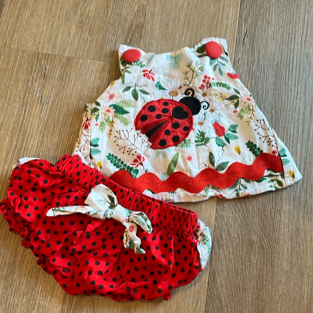 Lil Cactus ladybug two piece outfit, 6-12 months, EUC